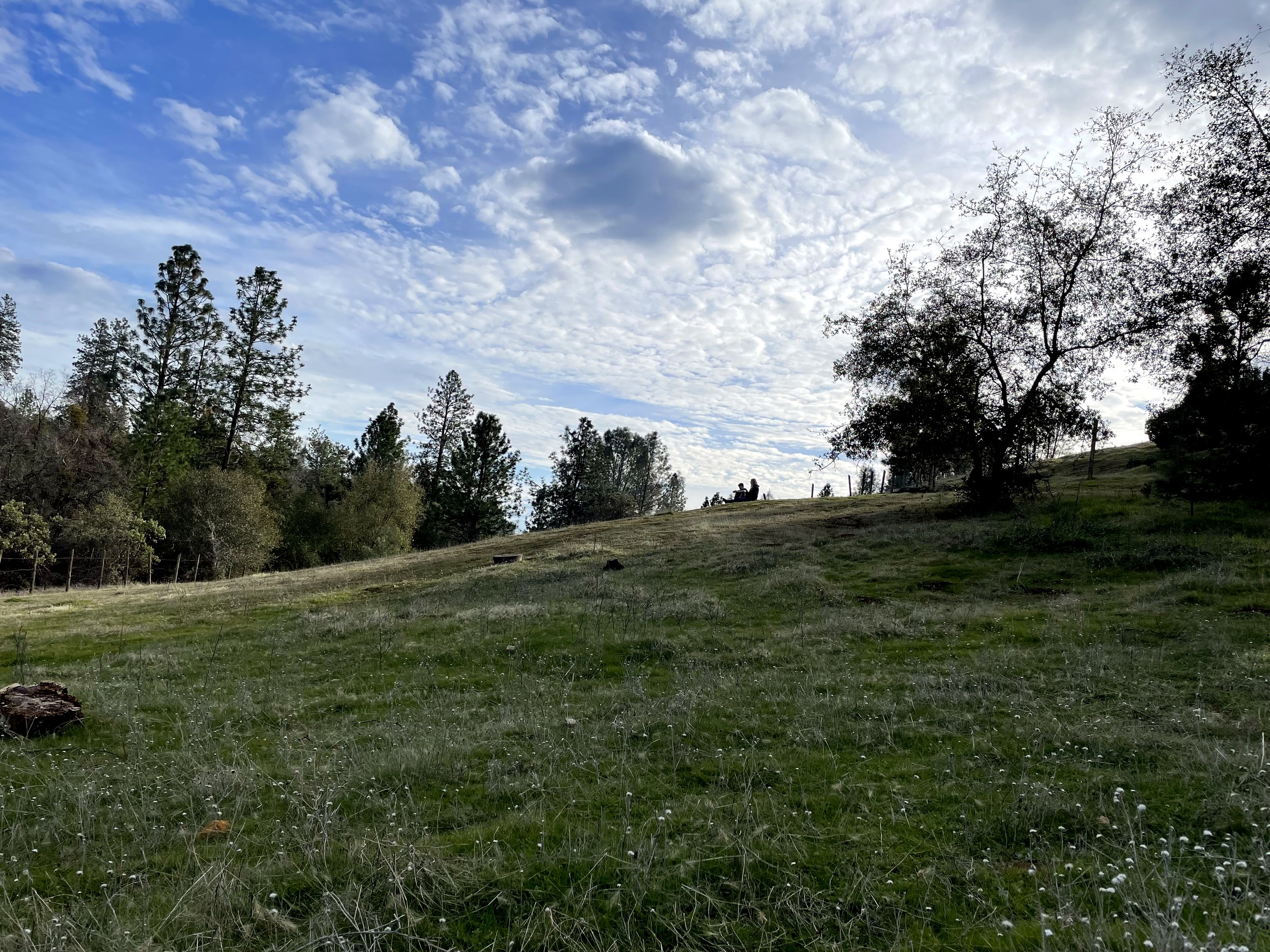 A quiet hillside on Andy's property under a wide sky